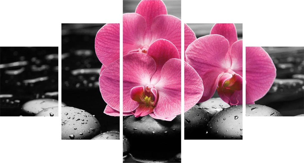 Obraz - Różowe orchidee (125x70 cm)