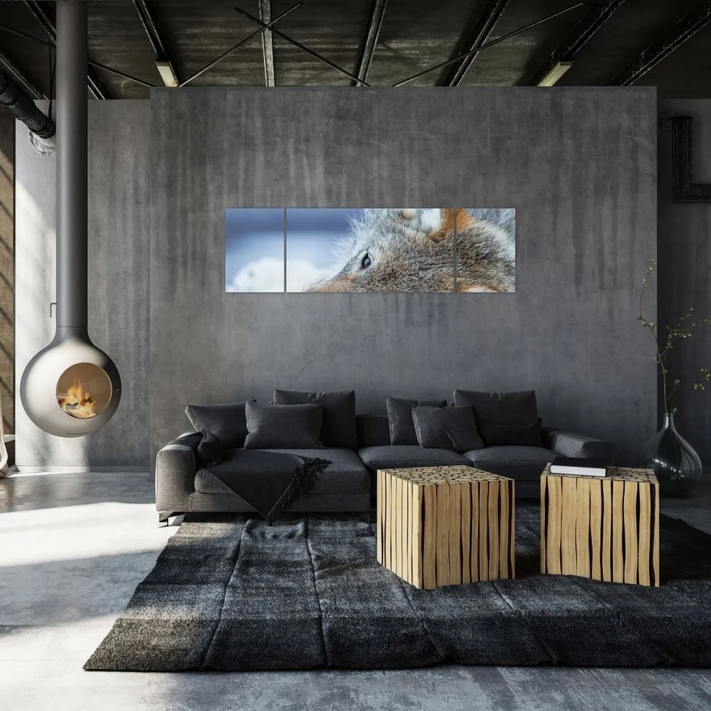 Obraz - Wilk (170x50 cm)