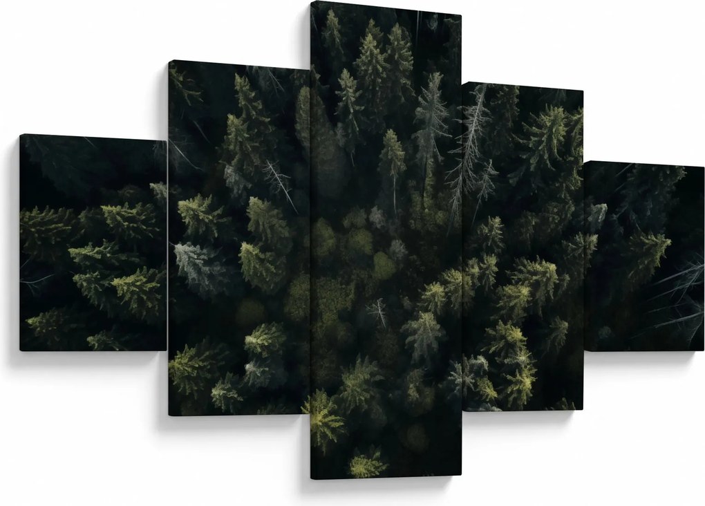 Obraz - Las (125x70 cm)