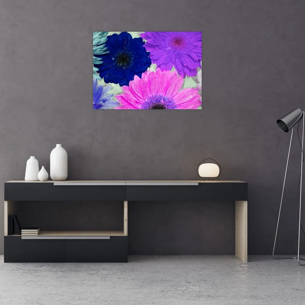 Obraz na szkle - kolorowe kwiaty (70x50 cm)