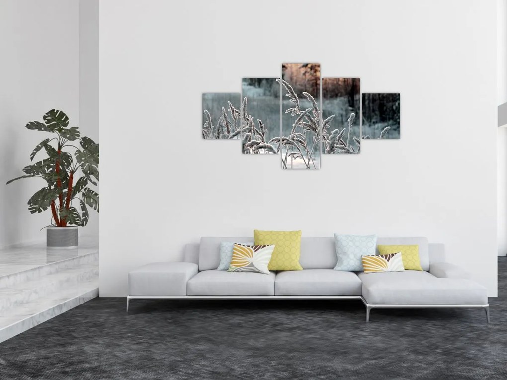 Obraz - Frozen Meadow (125x70 cm)