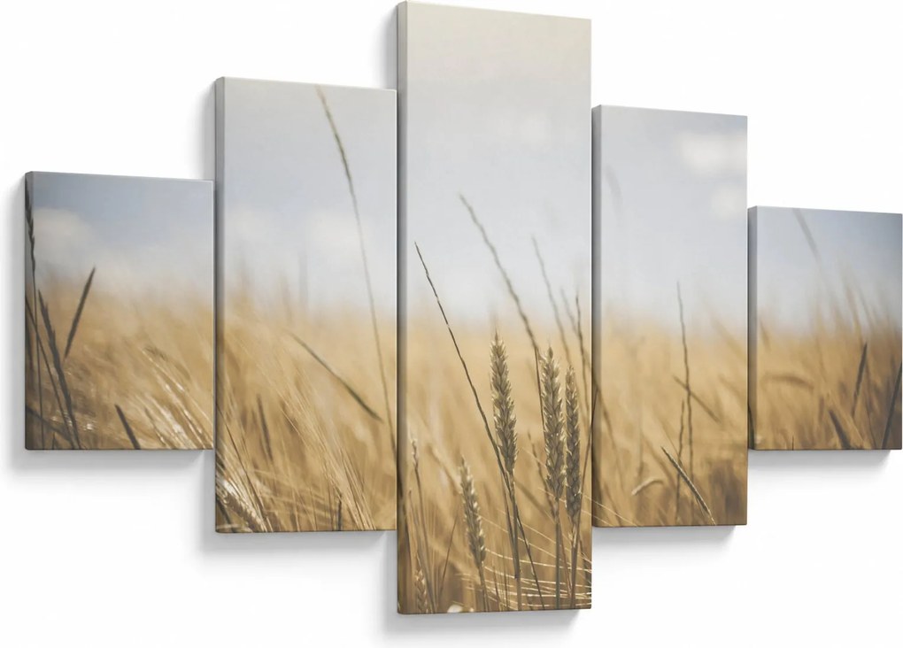 Obraz ziarna (125x70 cm)