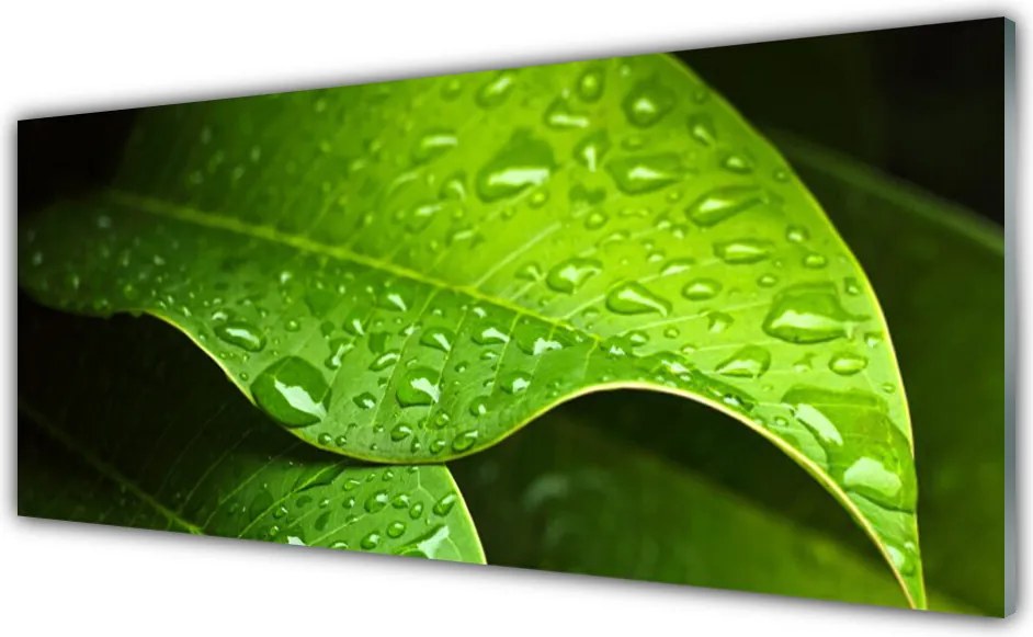 Panel Kuchenny Krople Porannej Rosy