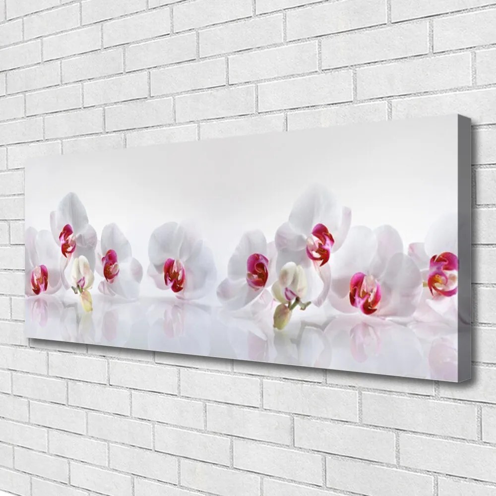 Obraz na płótnie Świeżość Kwiatów Polnych