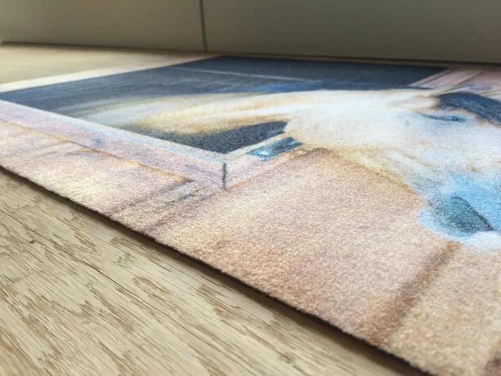 Wycieraczka Deco Star Konik 40 cm x 60 cm