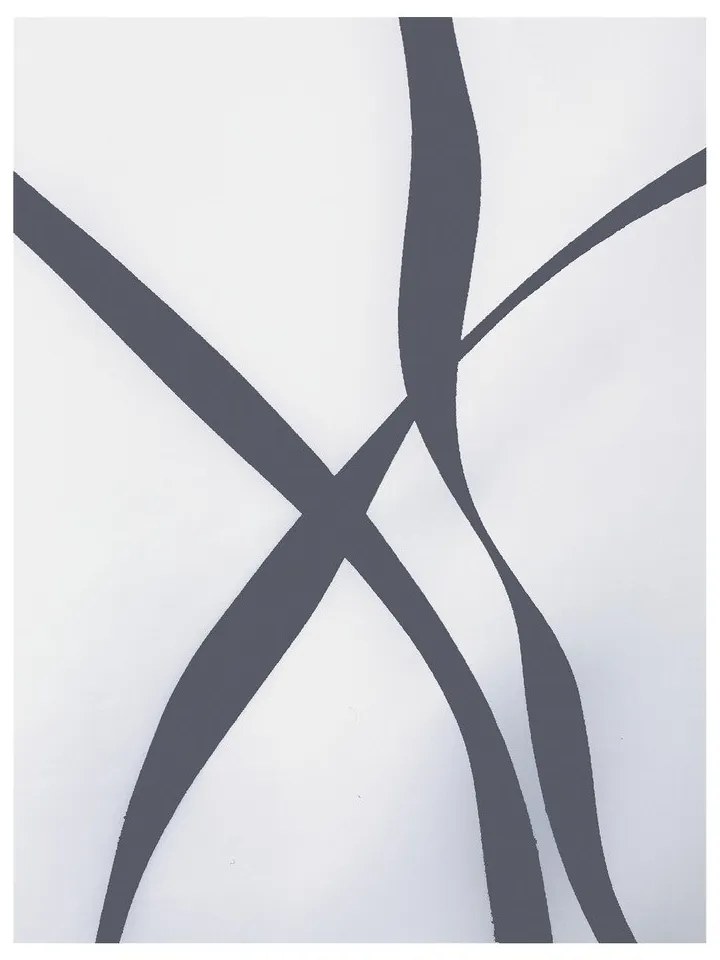 Zasłona prysznicowa 120x200 cm Ribbon – Spirella