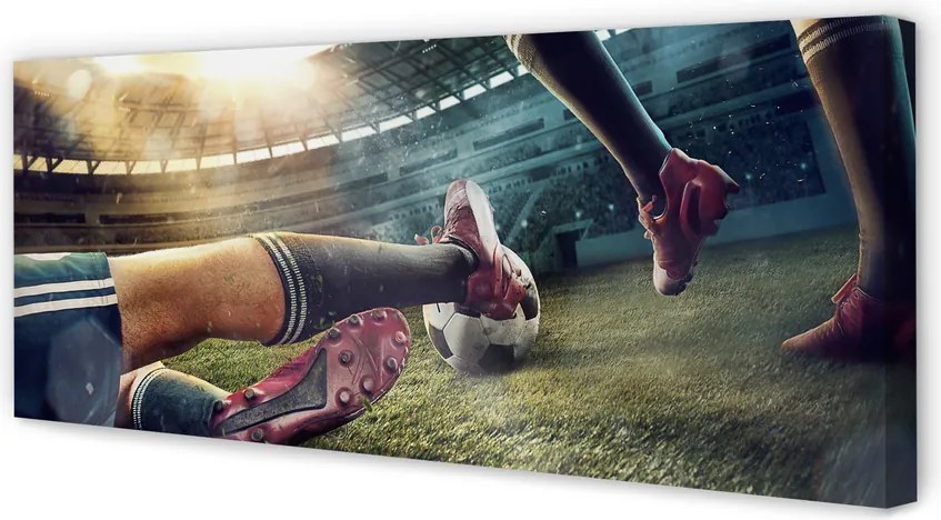 Fotoobraz na płótnie Sprzęt Piłkarski Na Murawie