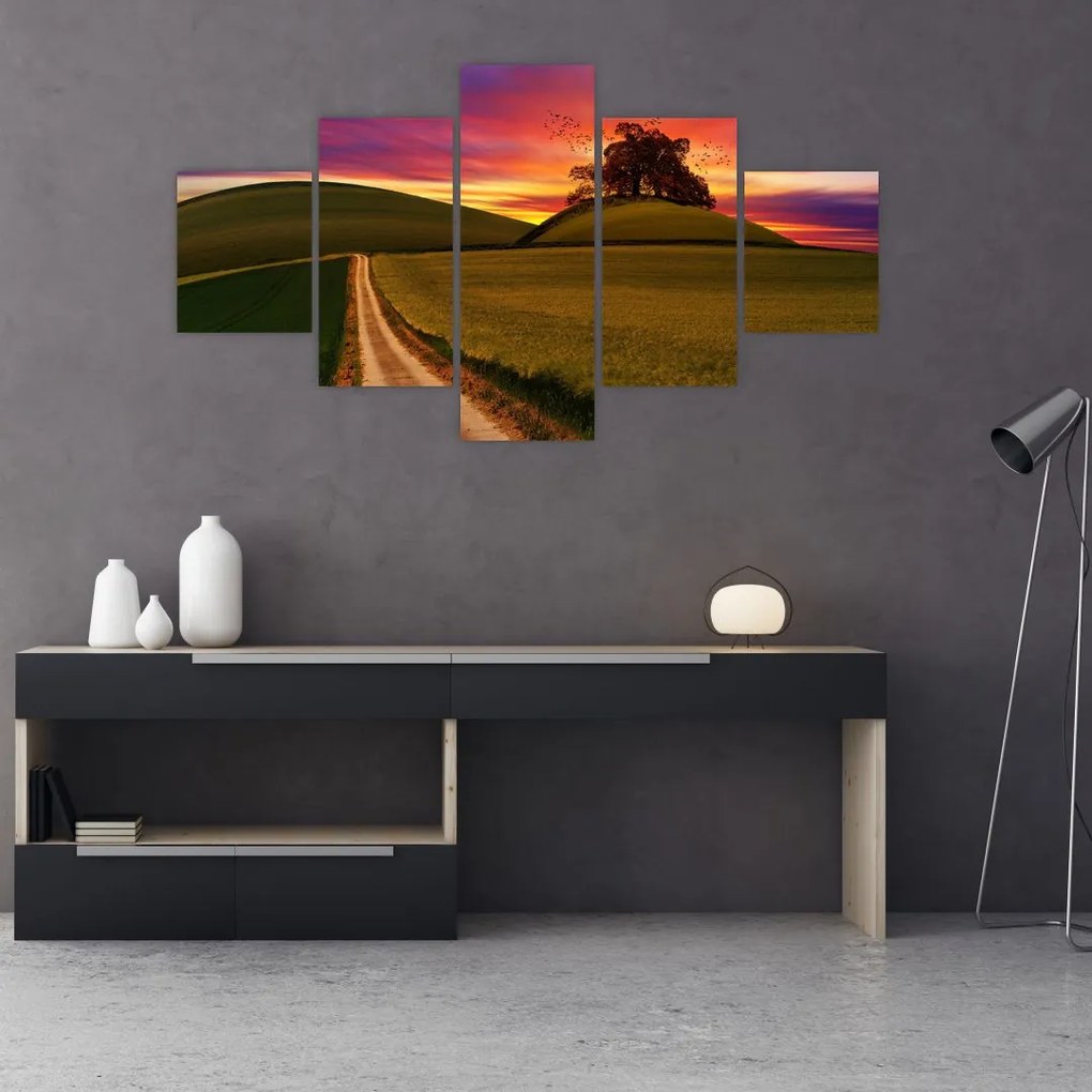 Obraz pola z zachodem słońca (125x70 cm)