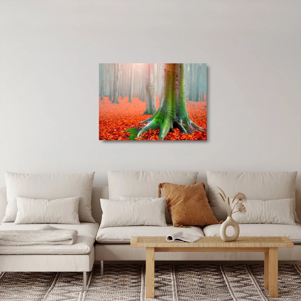 Obraz na szkle - drzewa (70x50 cm)