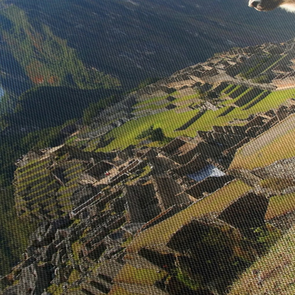 Obraz - Lama i Machu Picchu (z zegarem) (90x30 cm)