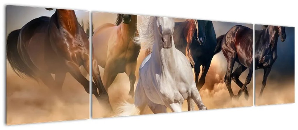 Obraz - Konie na pustyni (170x50 cm)