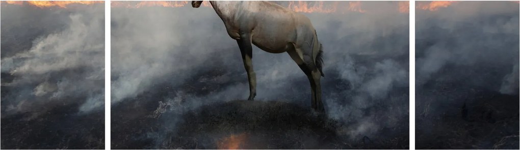 Obraz kozicy w płomieniach (170x50 cm)