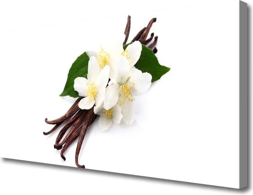 Zdjęcie na płótnie Naturalny Aromat Wanilii