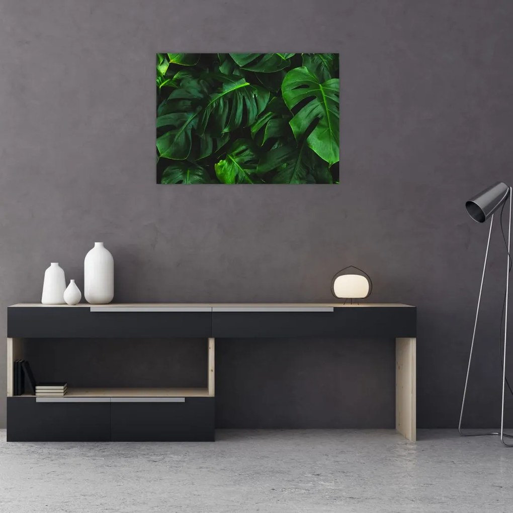 Obraz na szkle liści Monstery (70x50 cm)