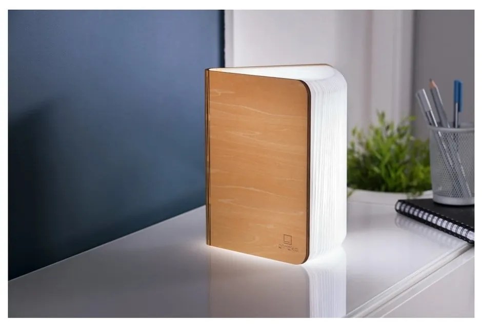 Dekoracja świetlna na USB w naturalnym kolorze Booklight – Gingko