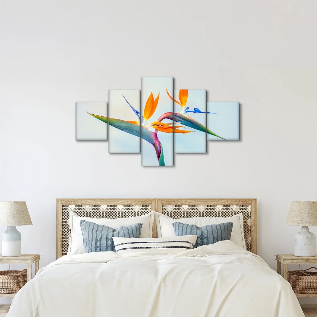 Obraz kwiatu Strelicji (125x70 cm)