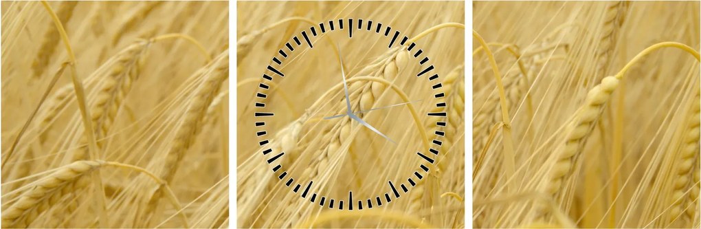 Obraz - Jęczmień (z zegarem) (90x30 cm)