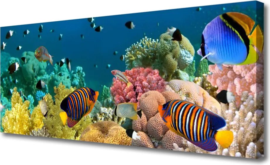 Obraz na płótnie Podwodny Świat Rafy
