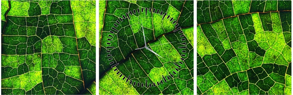 Obraz - Detal liścia (z zegarem) (90x30 cm)
