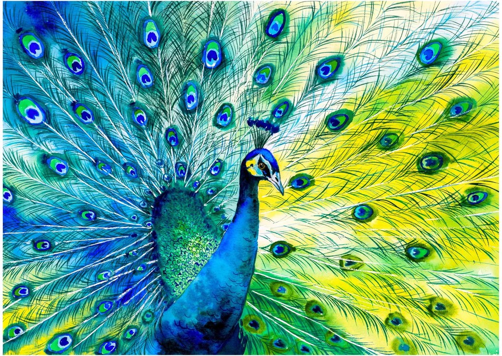 Obraz na szkle pawia (70x50 cm)