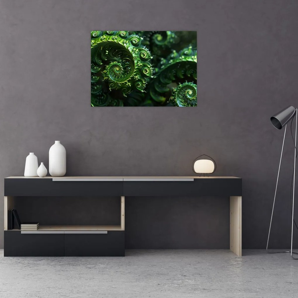 Obraz - Spirale (70x50 cm)