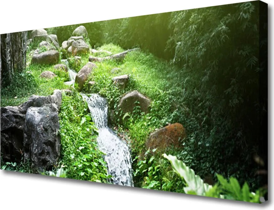 Obraz canvas na ścianę Szumiący Potok wśród Traw