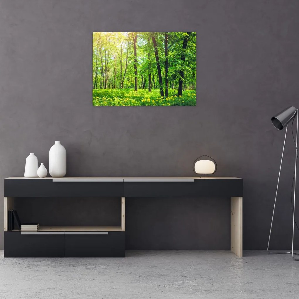 Obraz - Wiosenny las liściasty (70x50 cm)