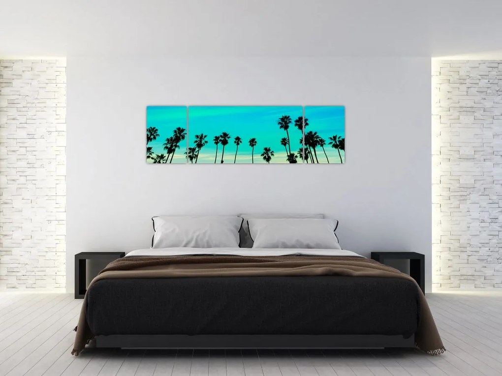 Obraz - Kalifornia (170x50 cm)