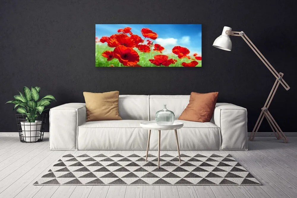 Obraz Canvas Maki Roślina Natura