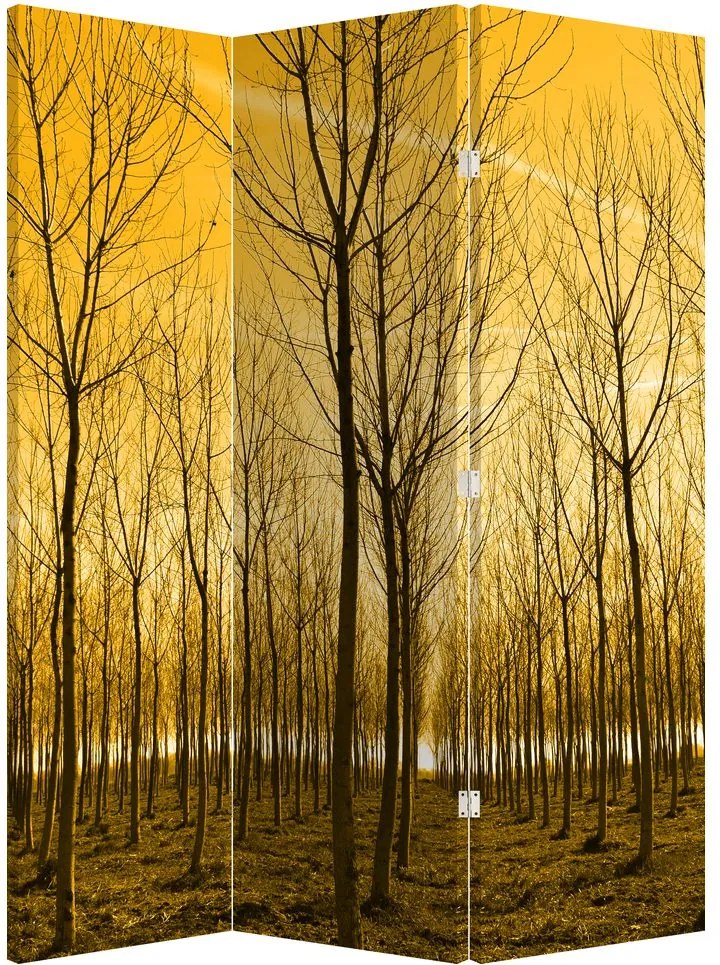 Parawan - Las o zachodzie Słońca (126x170 cm)