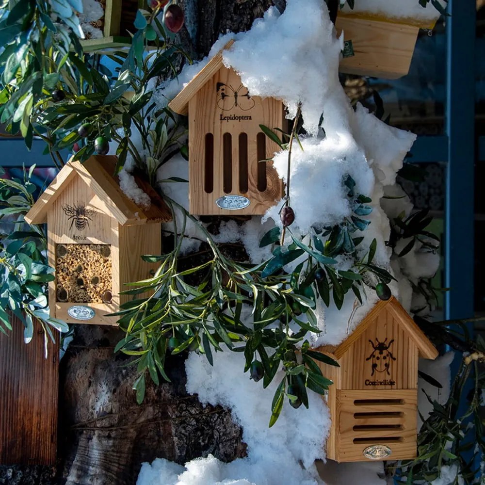 Drewniany domek dla motyli Esschert Design,