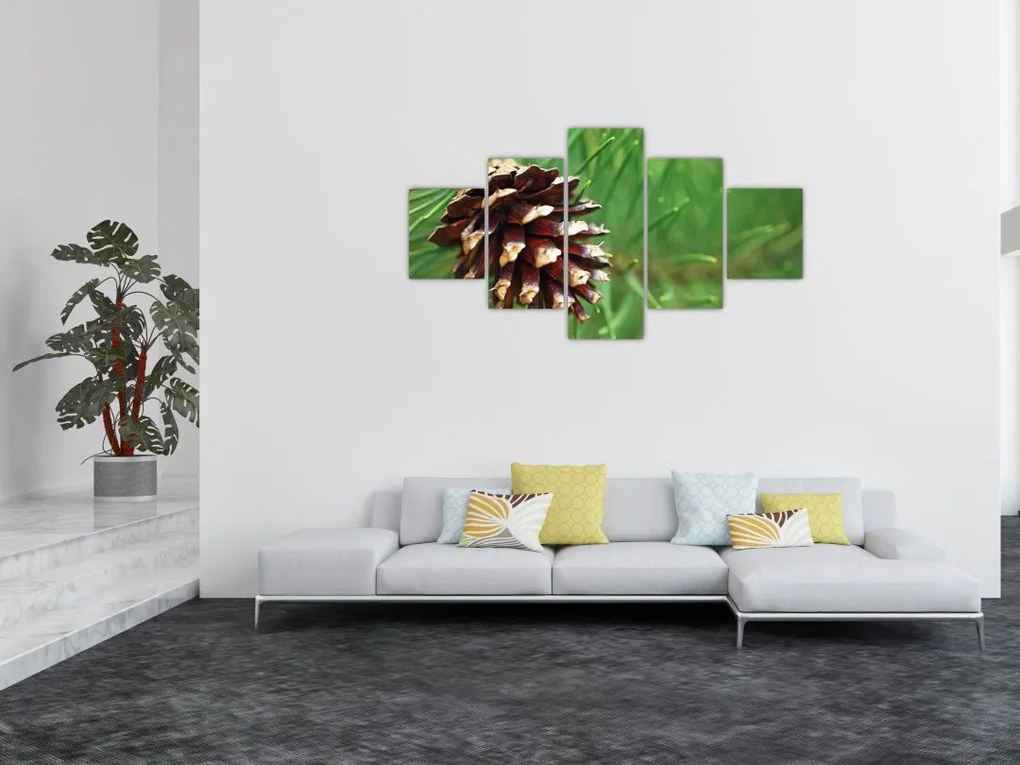 Obraz szyszki (125x70 cm)