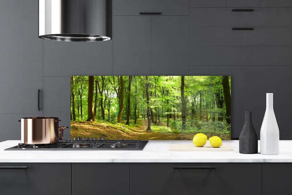 Panel Kuchenny Las Ścieżka Natura