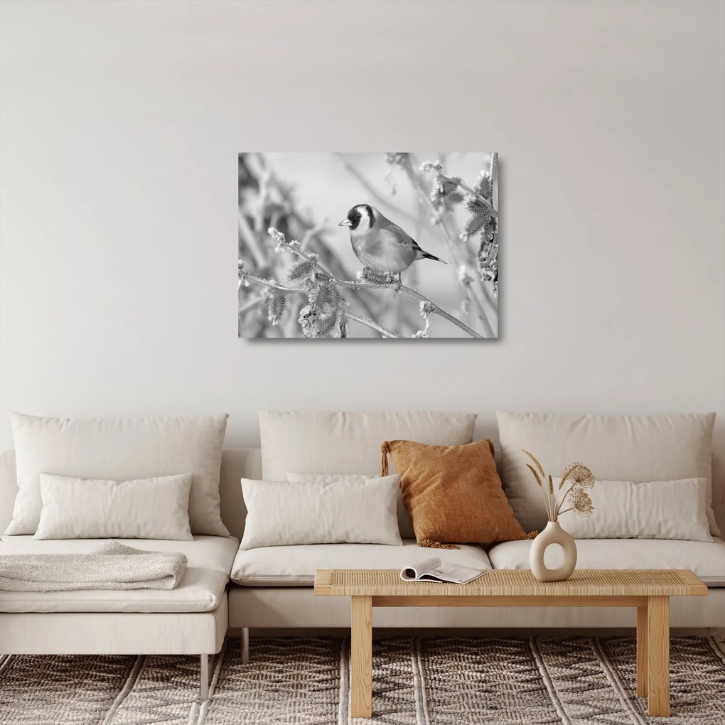 Obraz na szkle - Ptak zimą (70x50 cm)