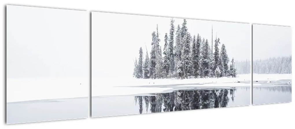 Obraz - Było biało (170x50 cm)