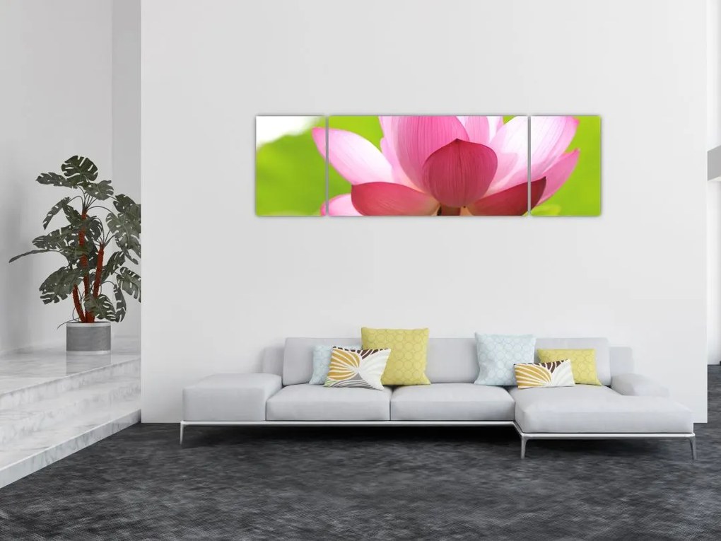 Obraz kwiatu lotosu (170x50 cm)