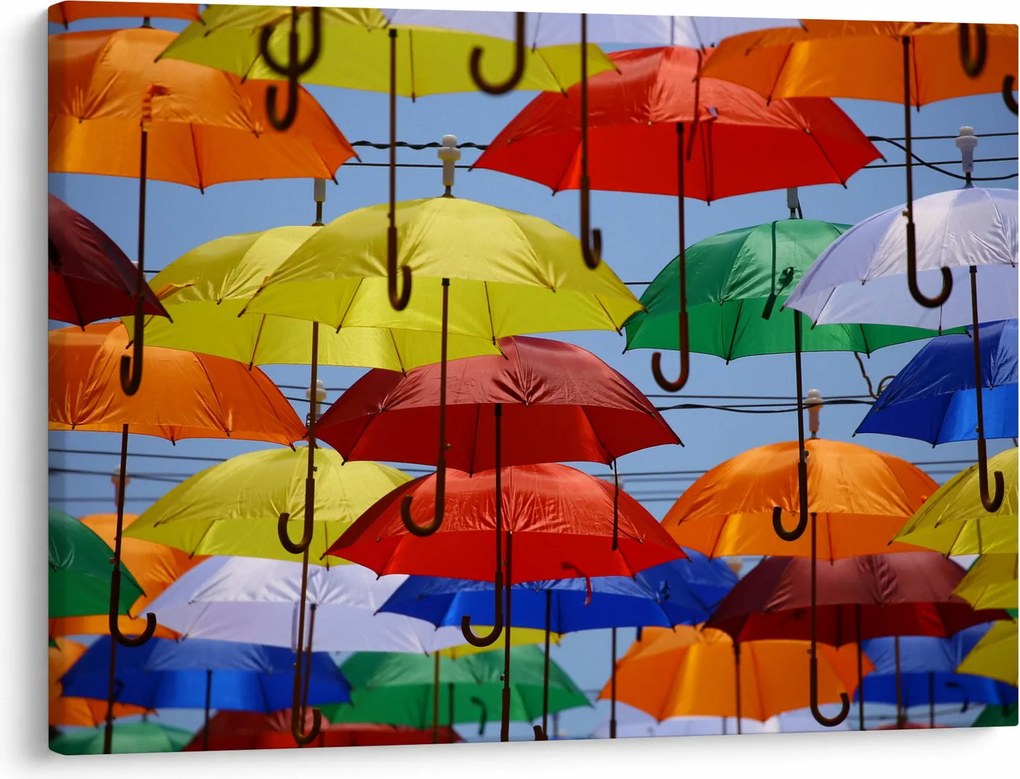 Obraz kolorowych parasoli (70x50 cm)