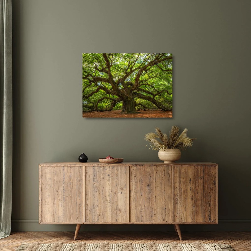 Obraz na szkle - Zielone drzewo (70x50 cm)