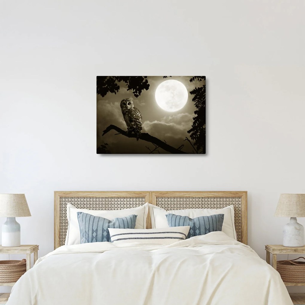 Obraz - Nocna sowa, złoty (70x50 cm)