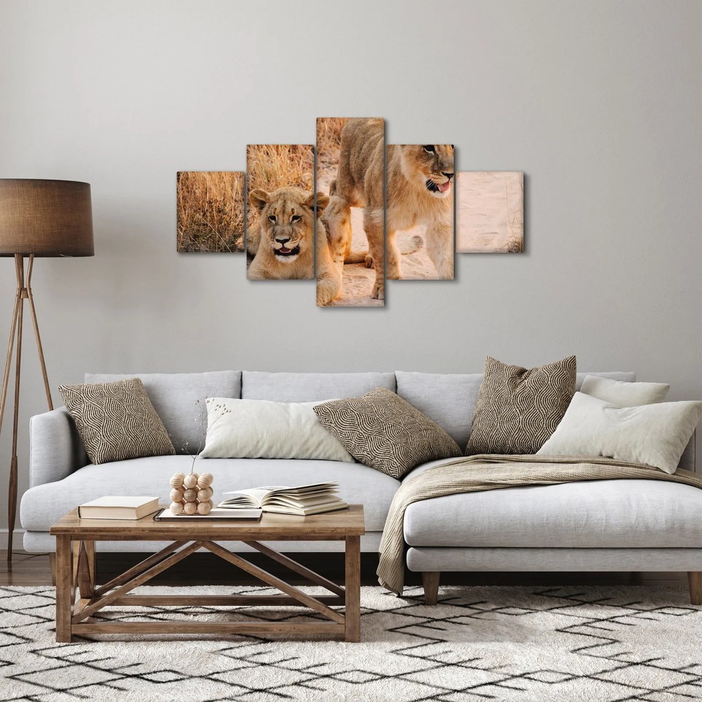 Obraz lwiątek (125x70 cm)