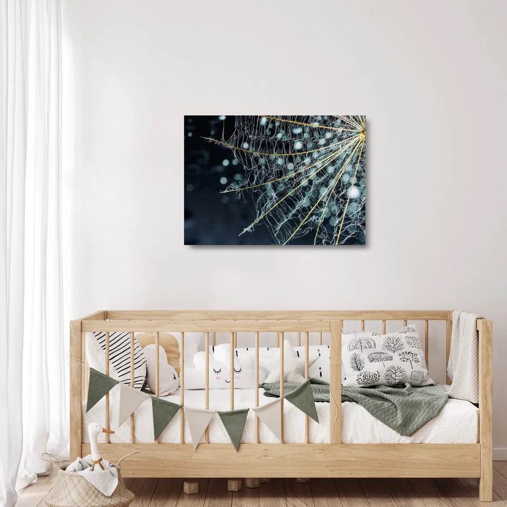 Obraz na szkle - Kwiat z pajęczyną (70x50 cm)