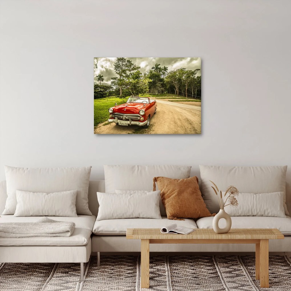 Obraz - zabytkowy samochód w przyrodzie (70x50 cm)