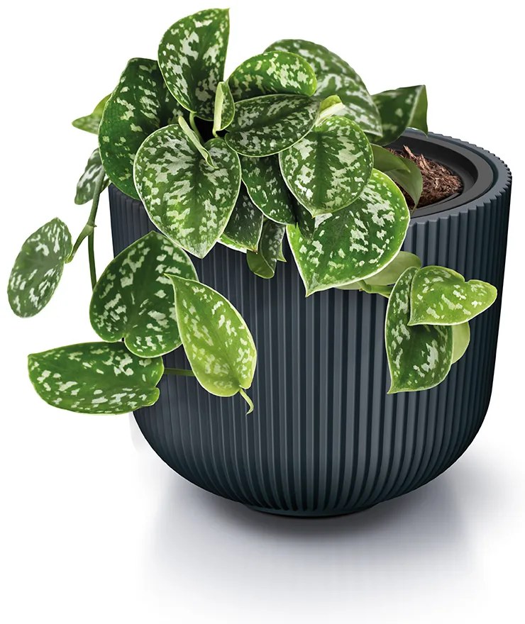 Donica ogrodowa Milly 24 x 24 x 19,7 cm antracyt PROSPERPLAST