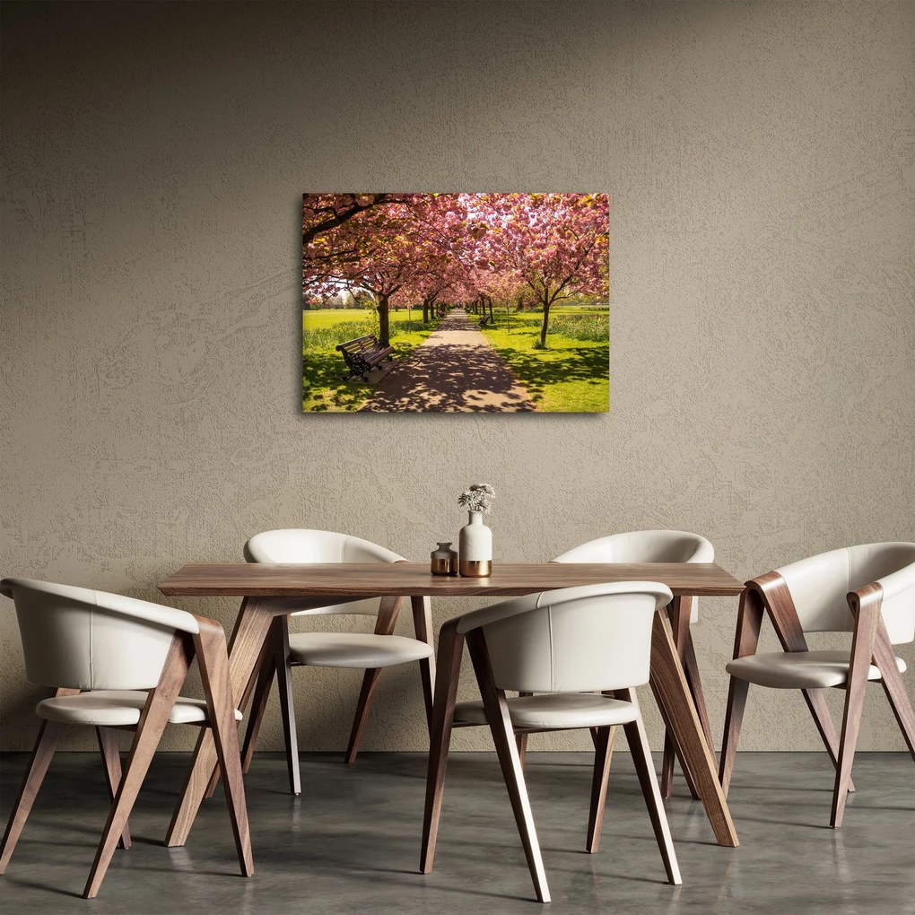 Obraz - sad czereśniowy (70x50 cm)