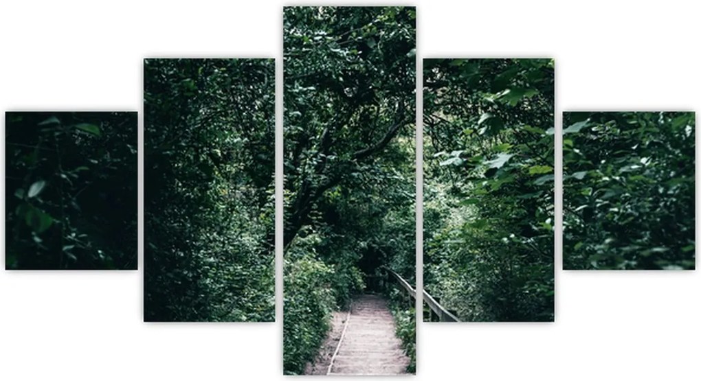 Obraz - Ścieżka przez las (125x70 cm)