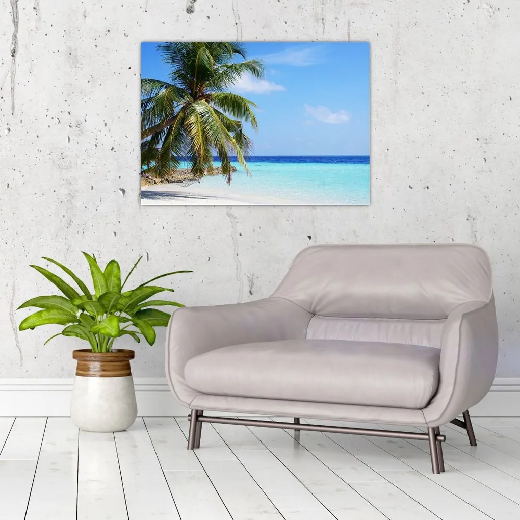 Obraz palmy na plaży (70x50 cm)