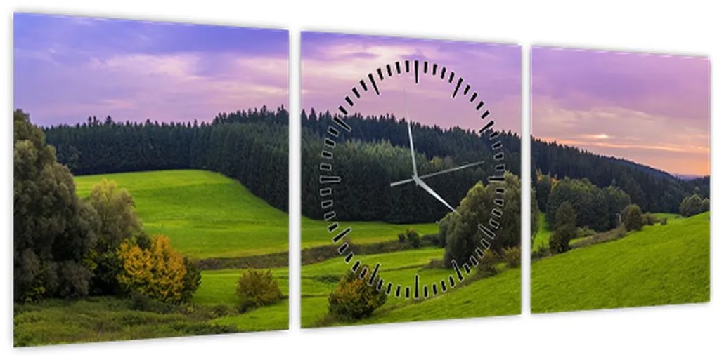 Obraz łąki (z zegarem) (90x30 cm)