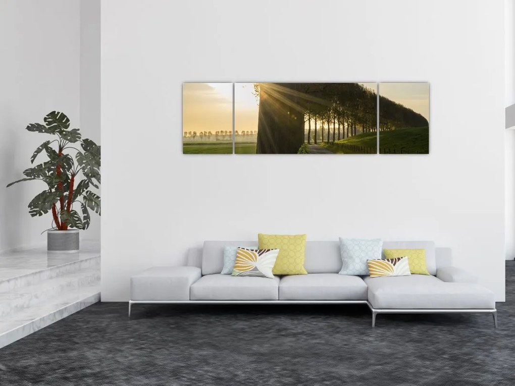 Obraz alei (170x50 cm)