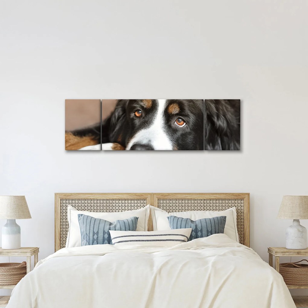 Obraz psa (170x50 cm)