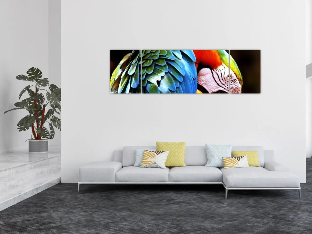 Obraz - Papuga (170x50 cm)